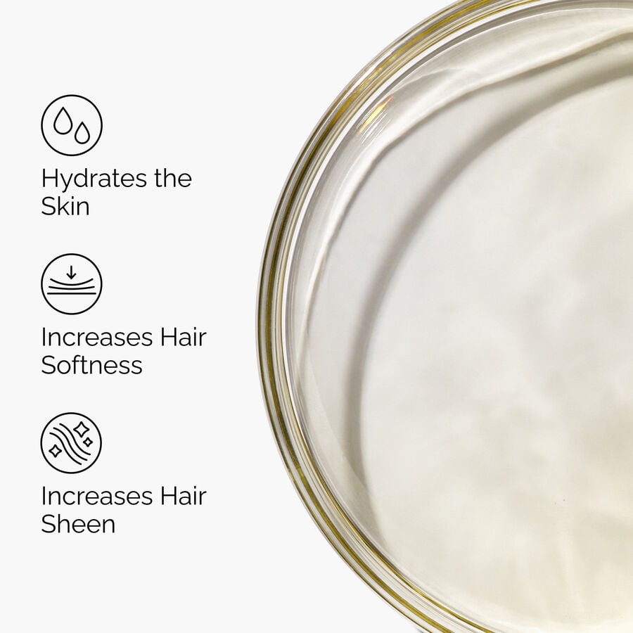 100% Organic Cold-Pressed Moroccan Argan Oil - US 7741