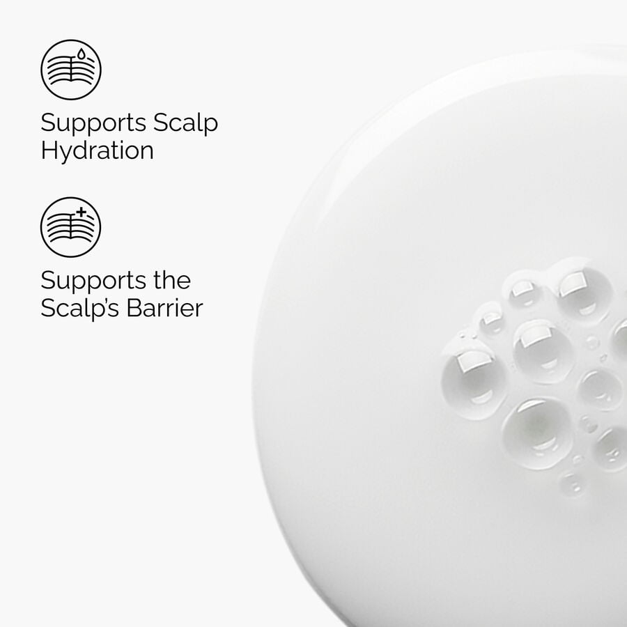 Natural Moisturizing Factors + HA for Scalp - US 1060