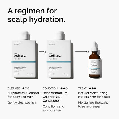Natural Moisturizing Factors + HA for Scalp - US 1060