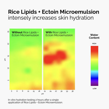 Rice Lipids + Ectoin Microemulsion - US 9638